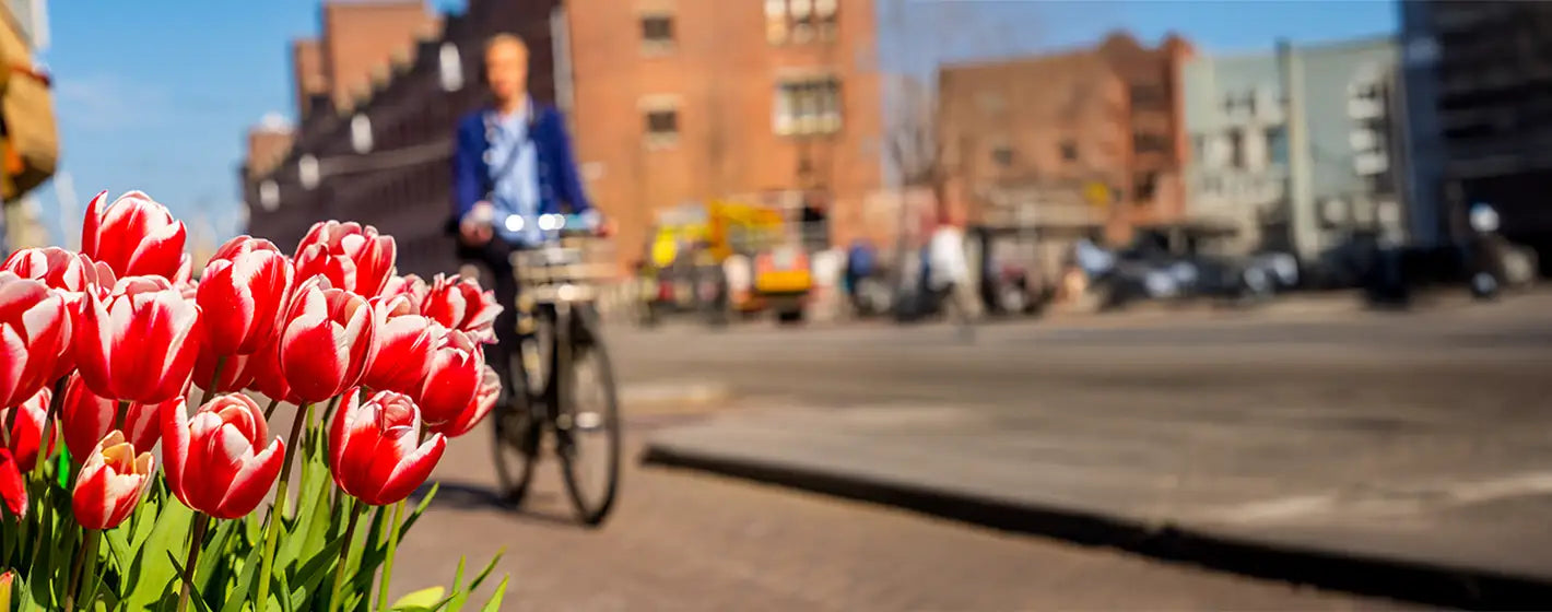 Fahrrad und E-Bike Angebote im Frühling bei BIKE Market