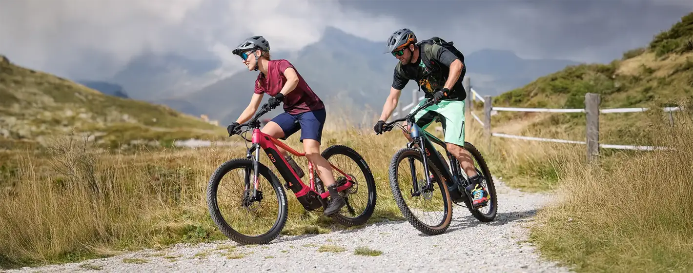 Marke Bulls im BIKE Market