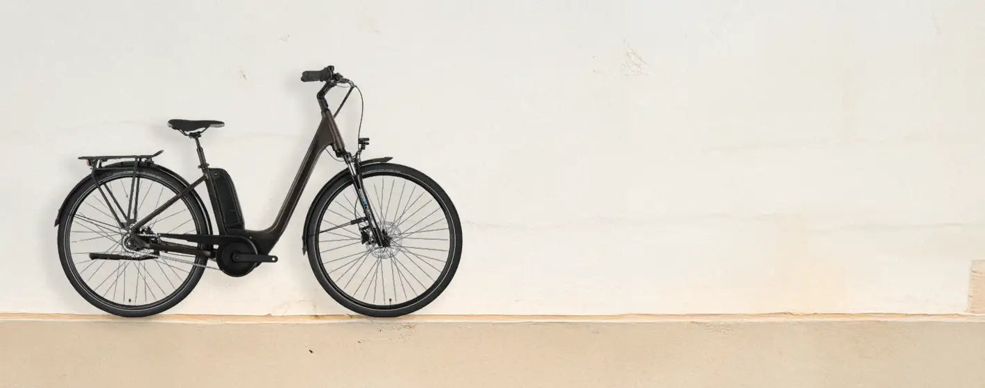 Raymon E-Bikes kaufen - Innovative Räder bei BIKE Market