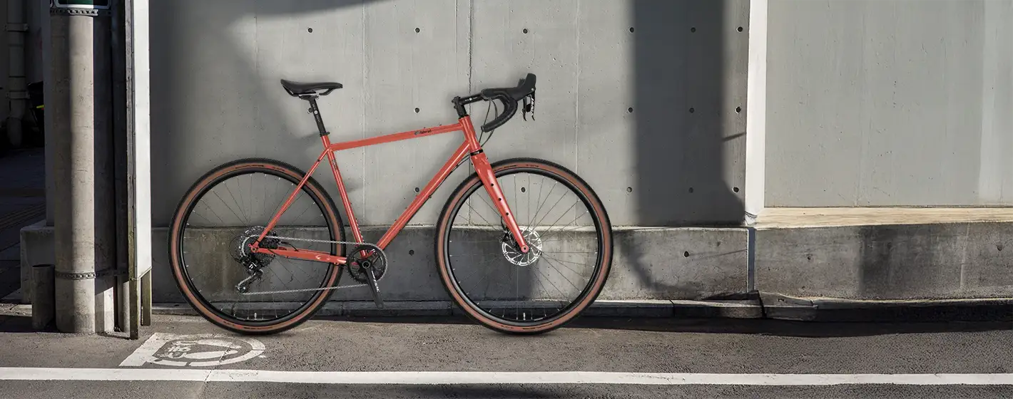 Marke VSF im BIKE Market