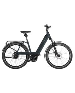 Riese & Müller Nevo4 GT rohloff 750Wh Kiox 300