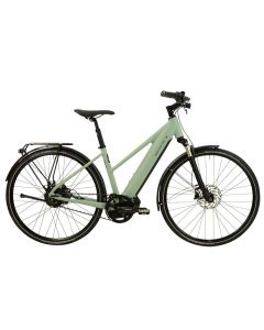 RIESE & MÜLLER Roadster Mixte vario 625Wh Nyon