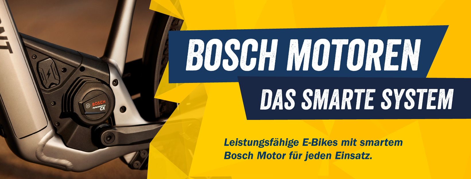Die leistungsfähigen Bosch Motoren in unseren Bikes Die leistungsfähigen Bosch Motoren in unseren Bikes
