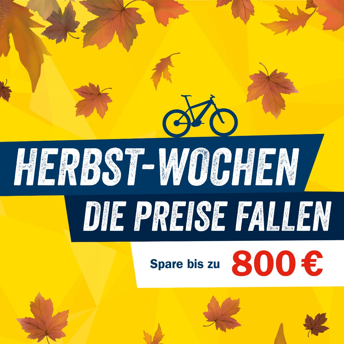 Bike Angebote in den Herbst-Wochen